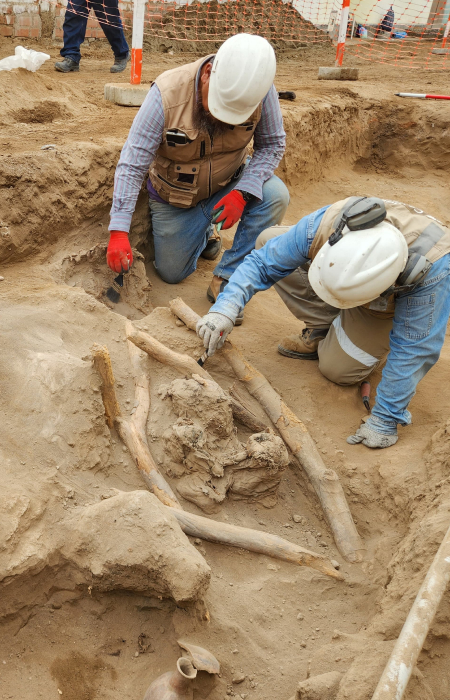 Descubrimos cementerio milenario de la cultura Chancay en Carabayllo